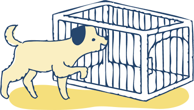 飼育ゲージの除菌イメージ