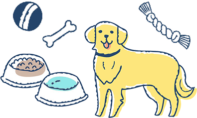 フードボウルやおもちゃの除菌イメージ