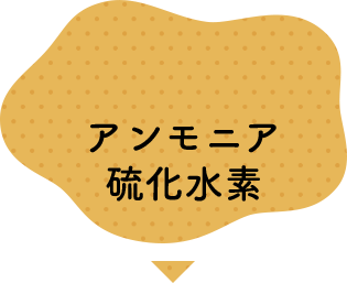 アンモニア硫化水素